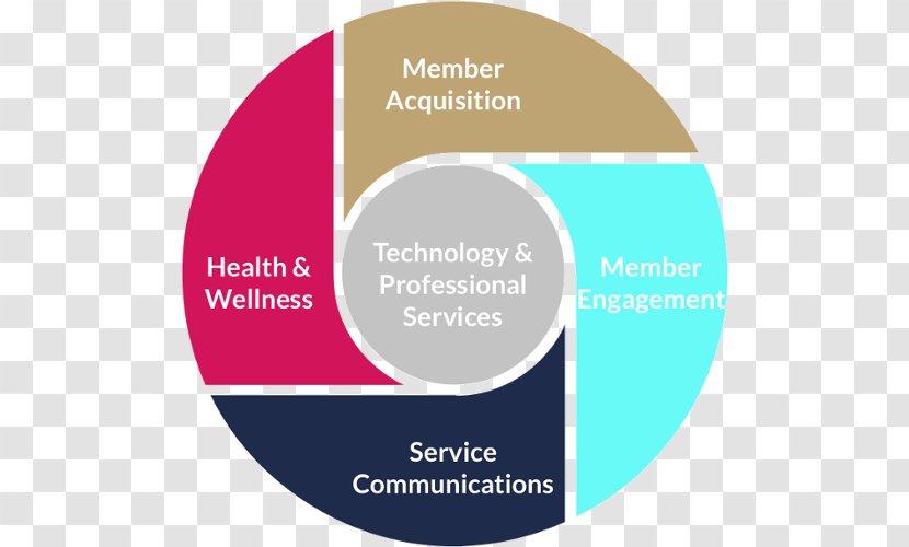Information Diagram Chief Executive PLATO Learning, Inc. Infographic - Business - Health Communication Transparent PNG