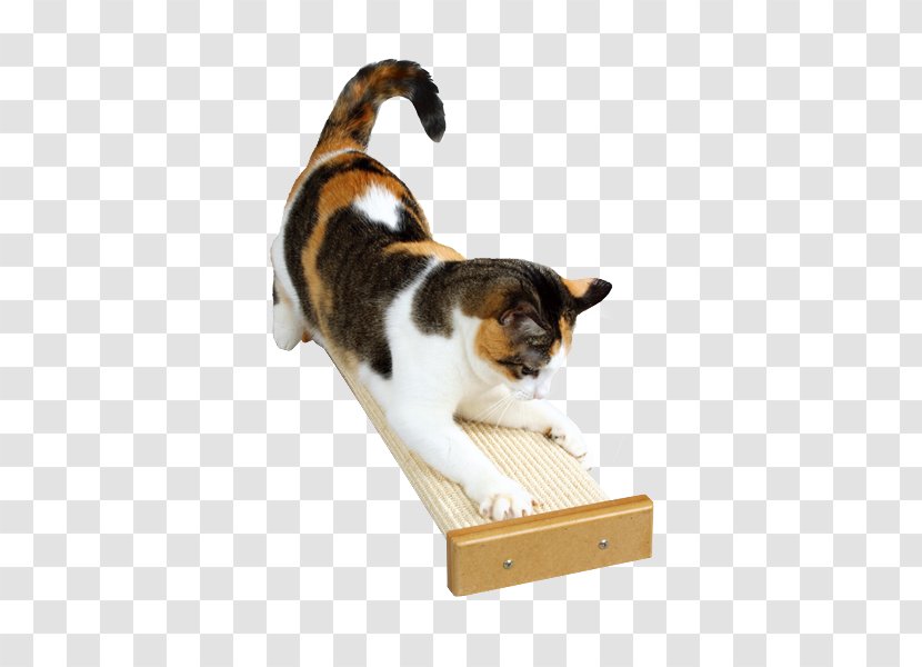 Cat Tree Scratching Post SmartCat Bootsies Combination Scratcher Pet - Paw Transparent PNG