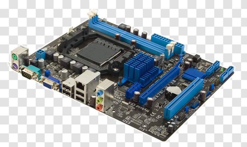 Socket AM3+ Motherboard MicroATX ASUS CPU - Personal Computer Hardware - Advanced Micro Devices Transparent PNG