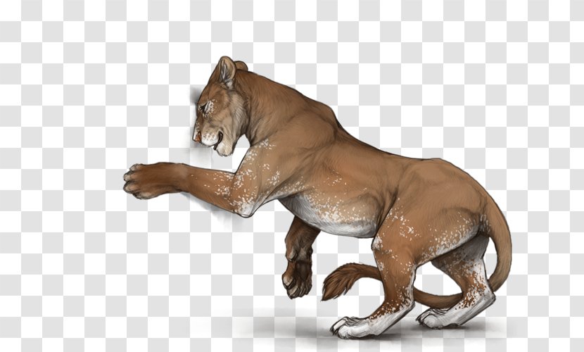 Lion Mane Mustang Big Cat - Puma Transparent PNG