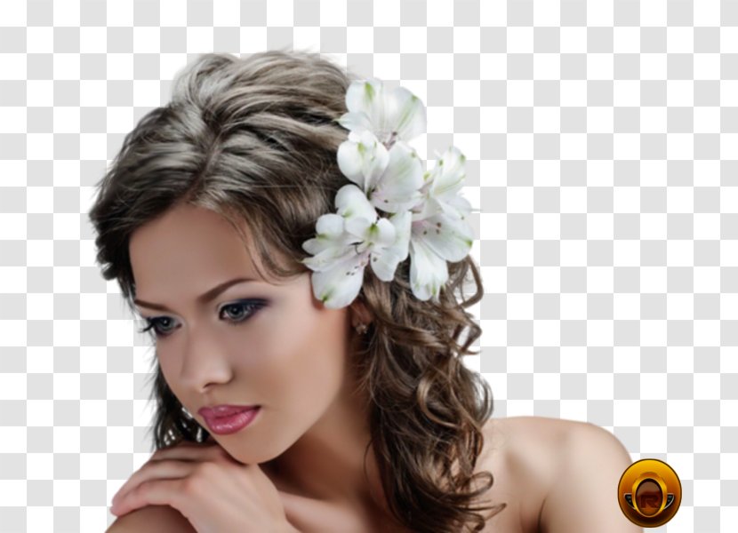 Hairstyle Cosmetologist Bride Beauty Parlour - Hair Accessory Transparent PNG