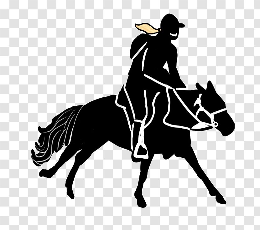 Mustang English Riding Rein Equestrian Western - Horse Trainer Transparent PNG