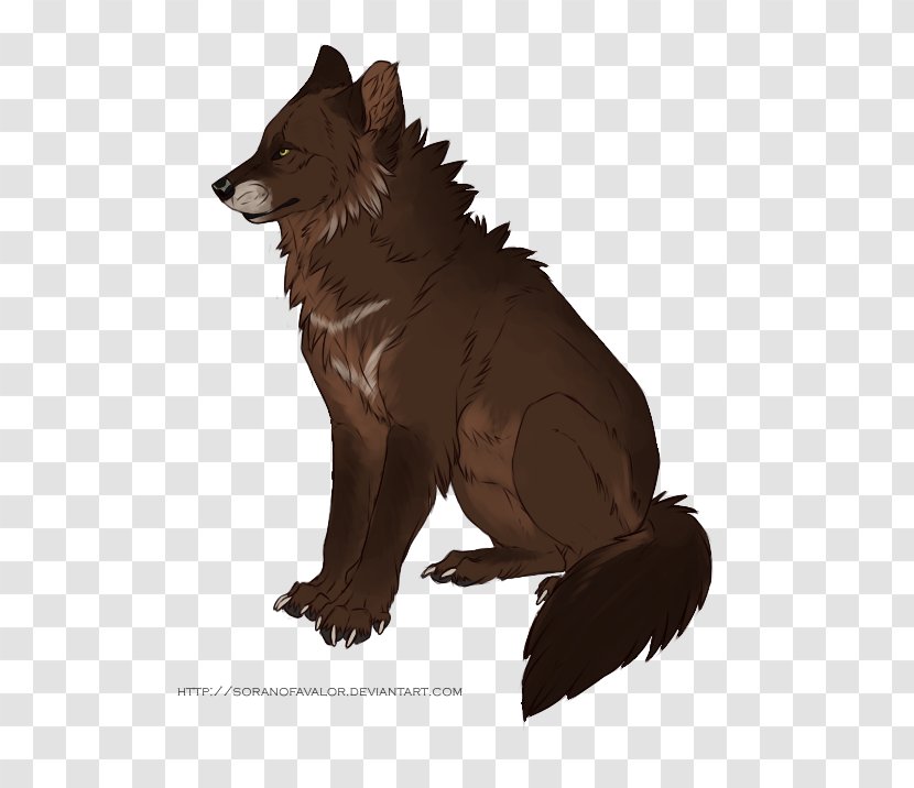 Dog Snout Fur Wildlife - Wolf Transparent PNG