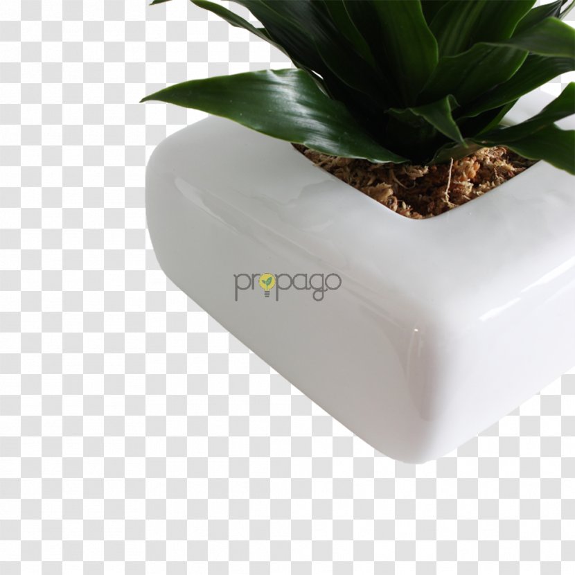 Flowerpot Plant Transparent PNG