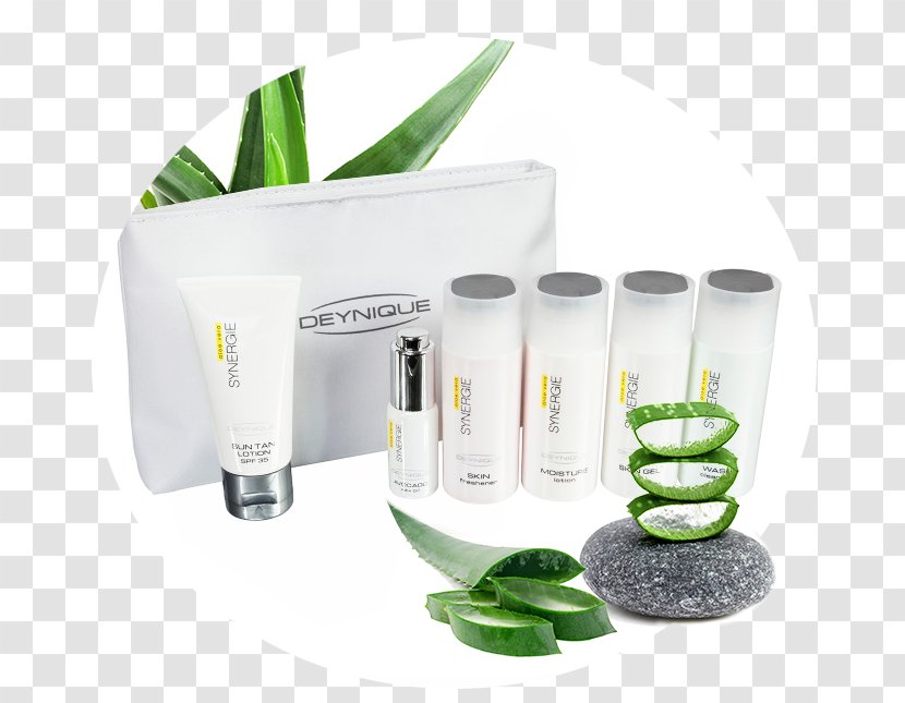 Aloe Vera Forever Living Products Flowerpot - Design Transparent PNG