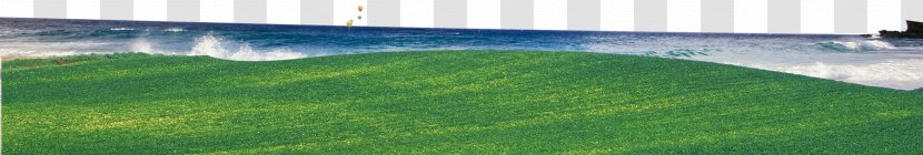 Artificial Turf Landscape Lawn Landscaping Land Lot - Family - Beach Transparent PNG