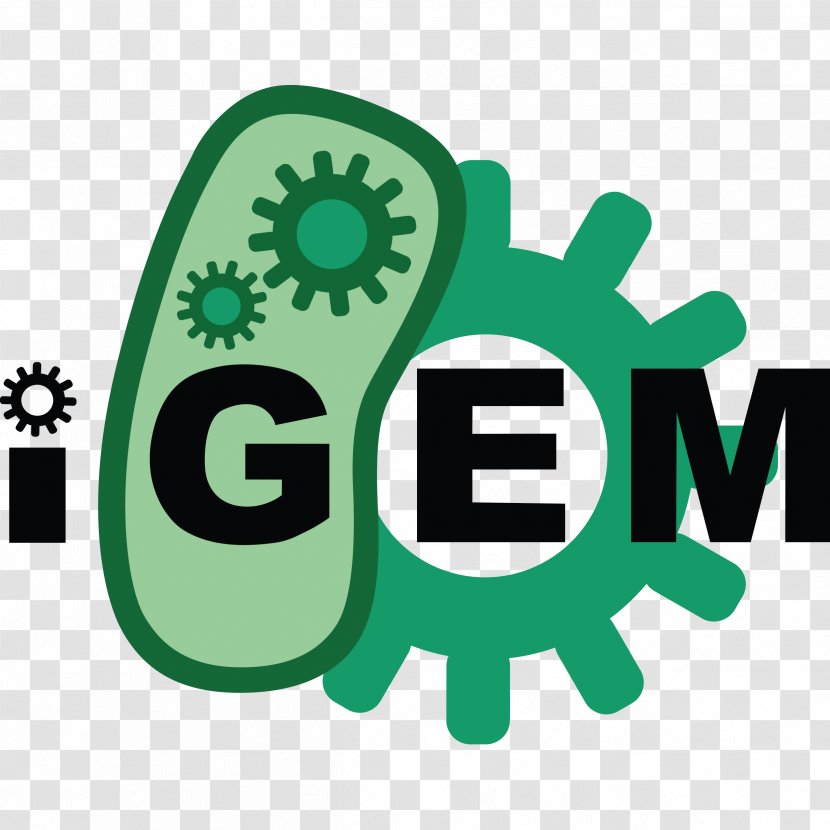 International Genetically Engineered Machine Synthetic Biology Genetic Engineering Registry Of Standard Biological Parts - Green - World Transparent PNG
