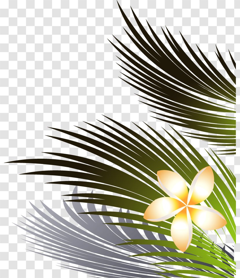 Coconut Leaves And Flowers Right Lower - Pattern - Twig Transparent PNG