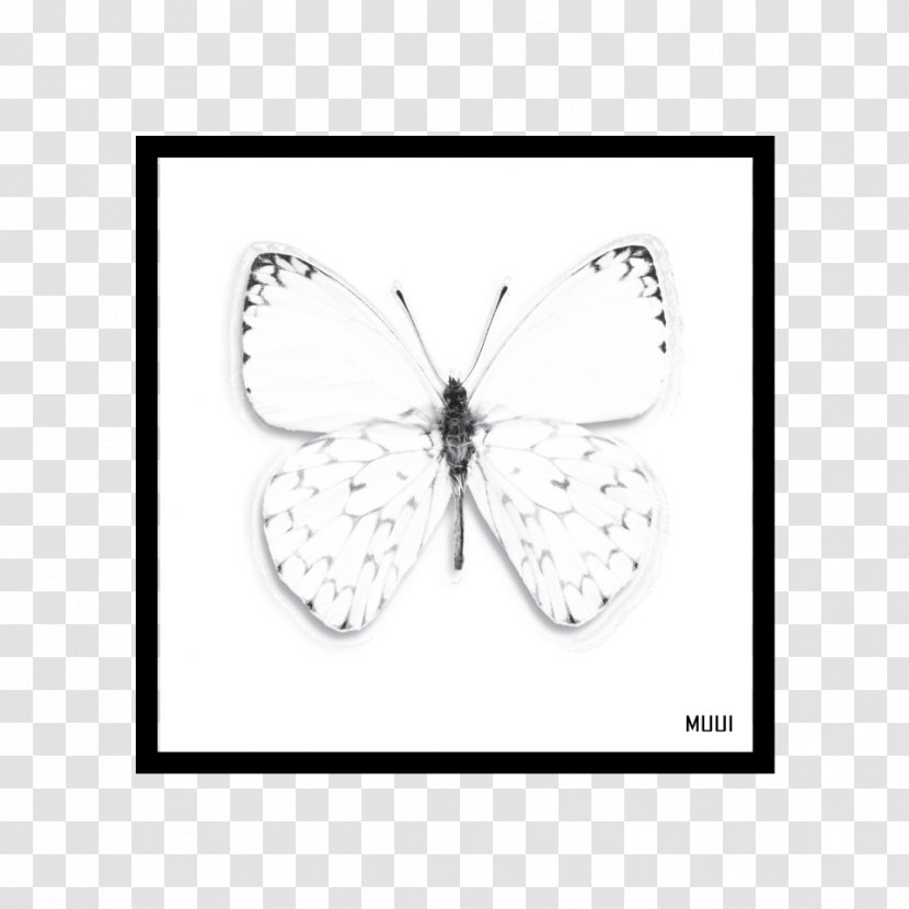 Brush-footed Butterflies Butterfly Moth - Symmetry Transparent PNG