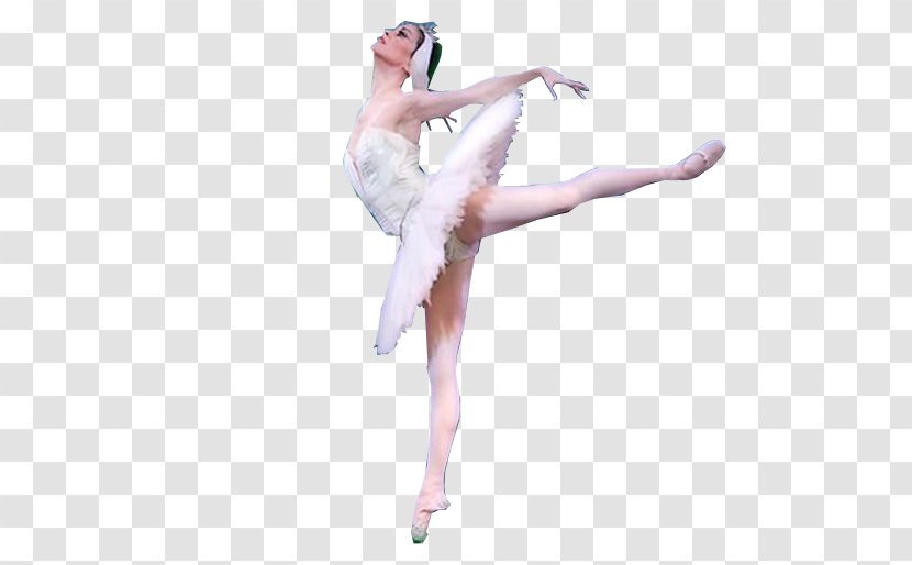 Modern Dance Ballet Tutu Choreographer - Watercolor Transparent PNG