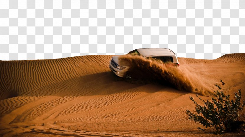 Desert Natural Environment Erg Aeolian Landform Sand - Landscape - Wood Brown Transparent PNG