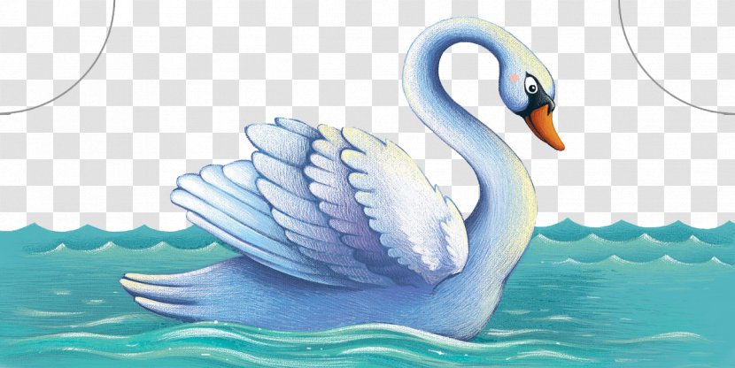 Cygnini Duck Illustration - Waterfowl - Beautifully Hand-painted Swan Swimming Transparent PNG