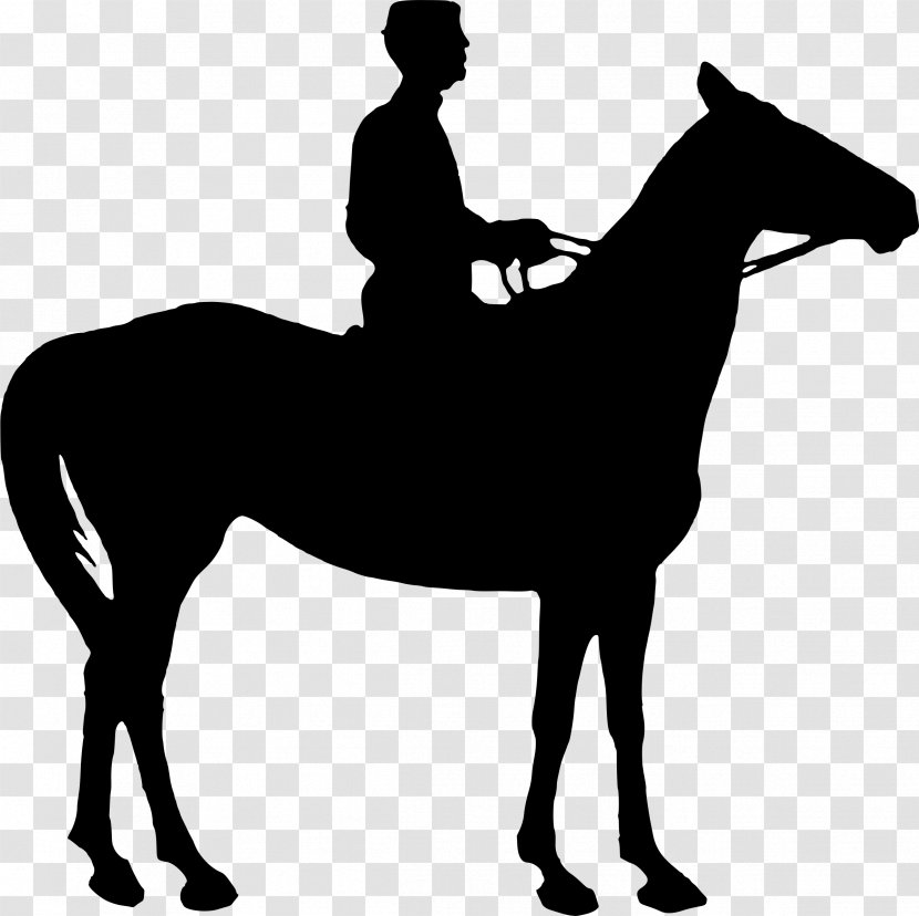 Horse&Rider Equestrian Silhouette Clip Art - Jockey - Rider Transparent PNG