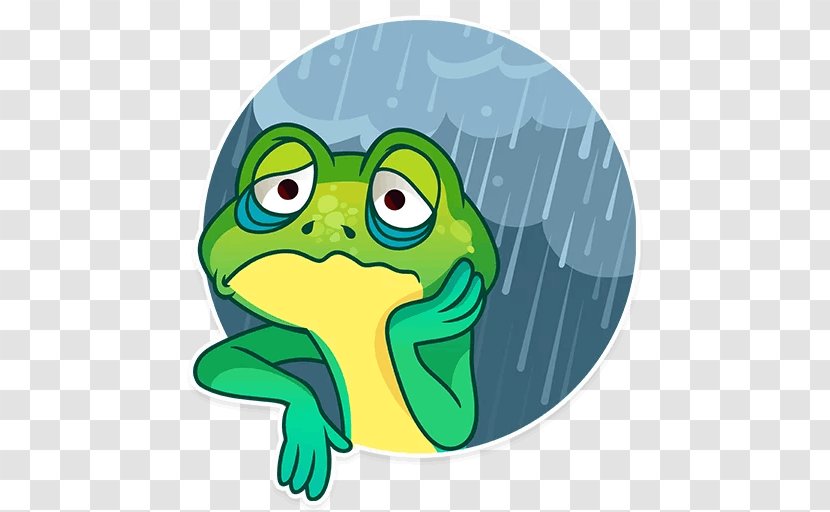 Tree Frog True Toad Cartoon Transparent PNG