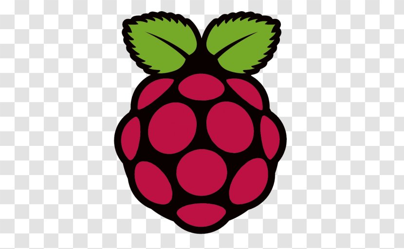Raspberry Pi Raspbian Elektor OpenVPN Computer Software - Magenta Transparent PNG