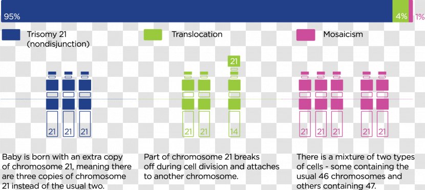 World Down Syndrome Day Chromosome 21 Usher - Web Page - Green Transparent PNG
