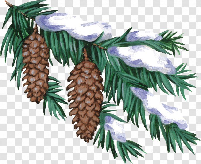 Christmas Winter New Year Tree Albom Clip Art - Pine Cone Transparent PNG