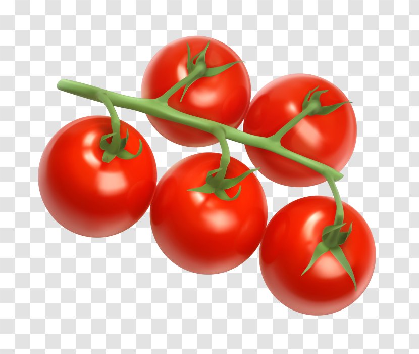 Cherry Tomato Juice Vegetable Clip Art - Natural Foods - Egg Stir Fry Transparent PNG