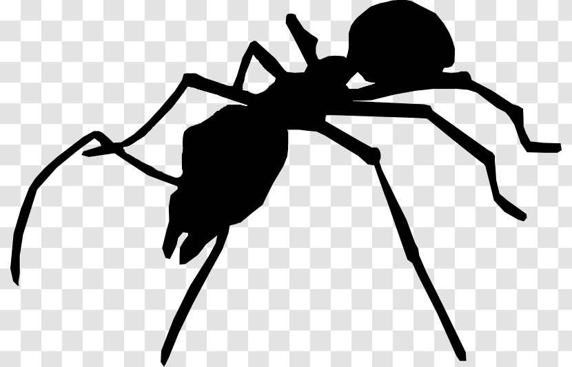 Fly Ant Silhouette Insect Myrmecia Nigriceps Transparent PNG