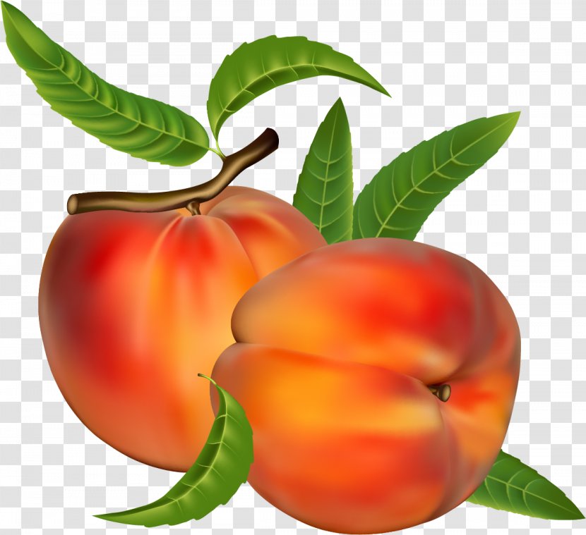 Peach Fruit Clip Art - Natural Foods Transparent PNG