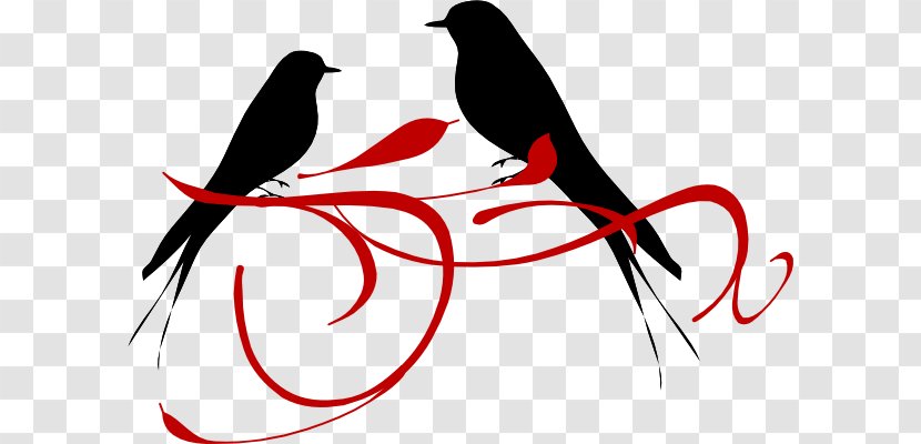 Lovebird Clip Art - Cartoon - Bird Transparent PNG