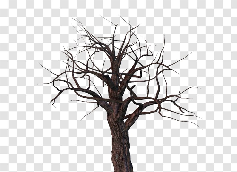 Twig Tree Snag Branch - Brush Transparent PNG