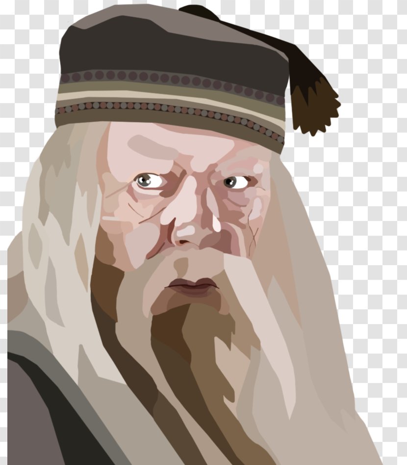 Albus Dumbledore Harry Potter Hermione Granger Ron Weasley Digital Painting Transparent PNG