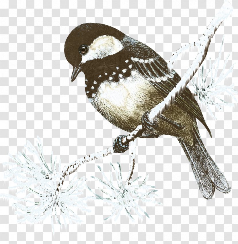 Christmas Bird Idea - Tree - Birds Transparent PNG