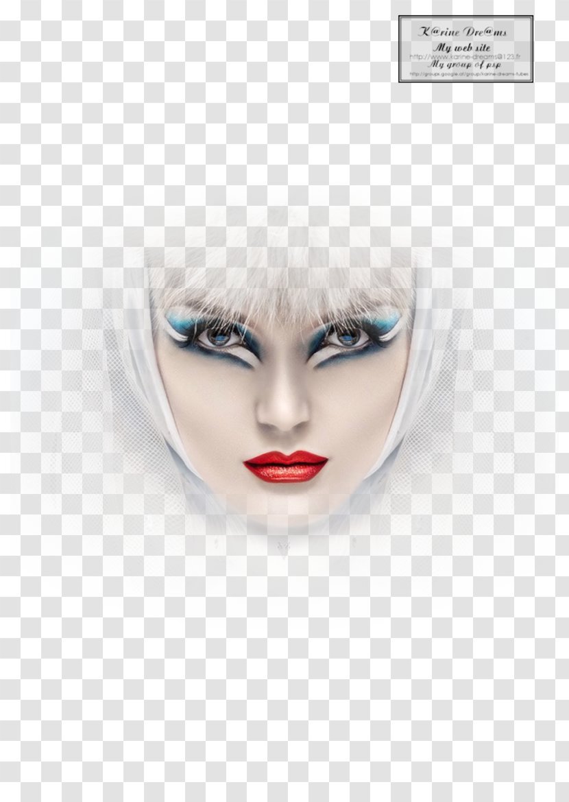Eyebrow Hair Coloring Human Color Eyelash - Visage Transparent PNG