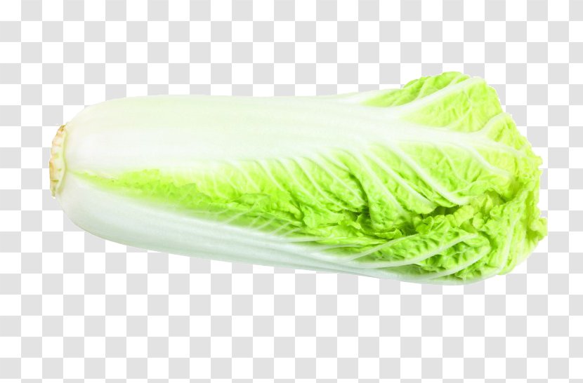 Bok Choy Cultivar Capsicum Annuum - Romaine Lettuce - Chinese Cabbage Transparent PNG