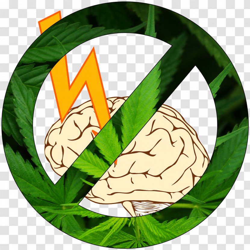 Medical Cannabis Legality Of Legalization Character - Plant Transparent PNG
