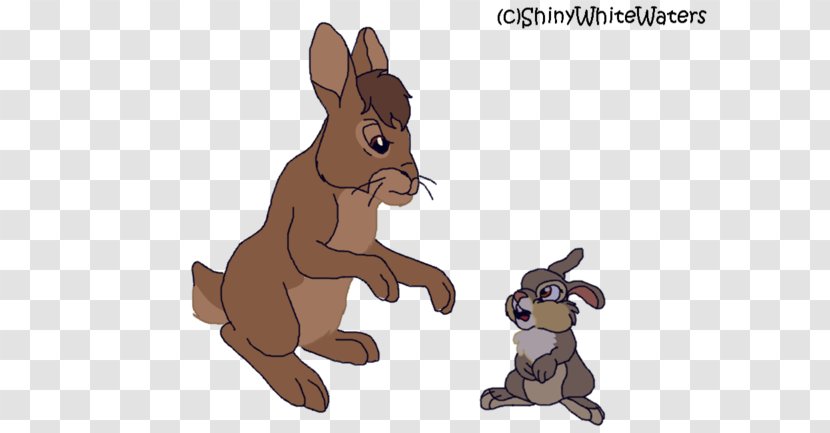 Dog Domestic Rabbit Hare Macropodidae Kangaroo - Tail - Excuse Me Transparent PNG