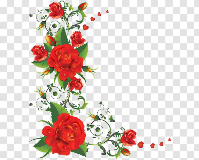 Rose Flower Clip Art - Flowering Plant - Red Border Transparent PNG