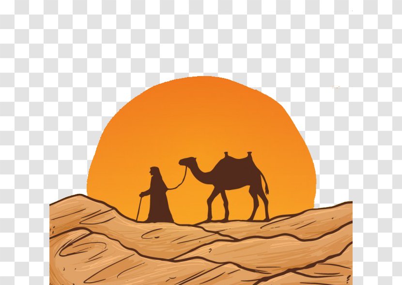 Camel Desert Drawing Euclidean Vector - Arabian Transparent PNG