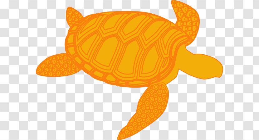 Green Sea Turtle Clip Art - Drawing Transparent PNG