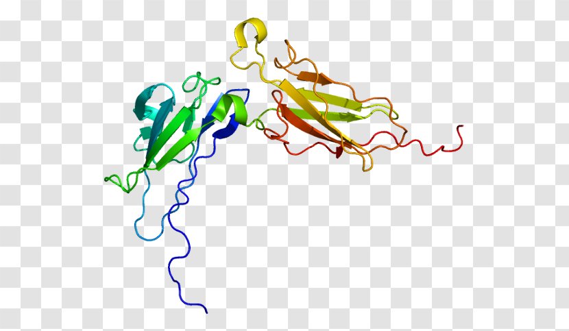 IFNAR2 Interferon-alpha/beta Receptor IFNAR1 - Silhouette - Flower Transparent PNG