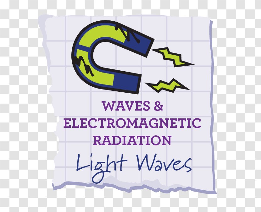 Food Web Chain Energy Light Science - Physics Transparent PNG