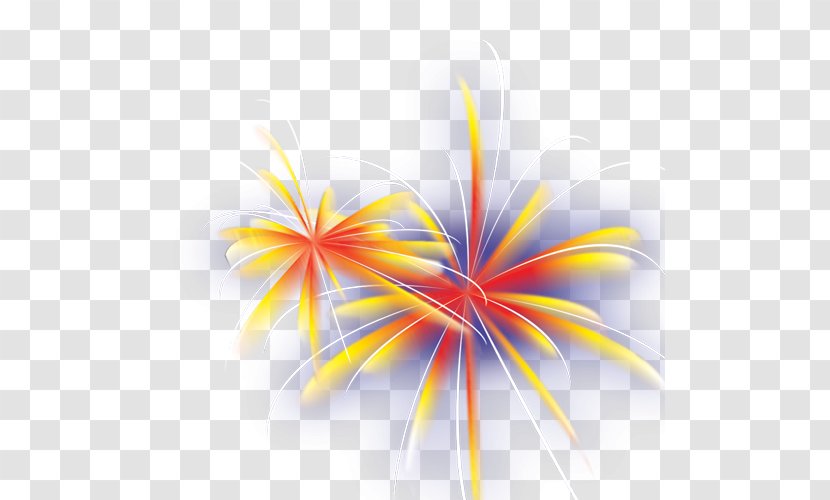 Sumidagawa Fireworks Festival - Artificier Transparent PNG