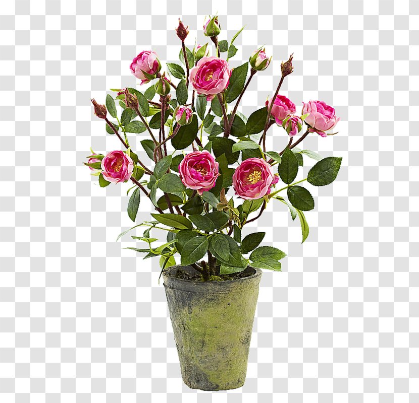 Cut Flowers Rose Flower Garden - Roses Transparent PNG