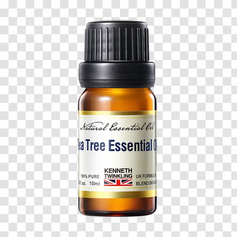 Green Tea Tree Oil Camellia Sinensis Transparent PNG