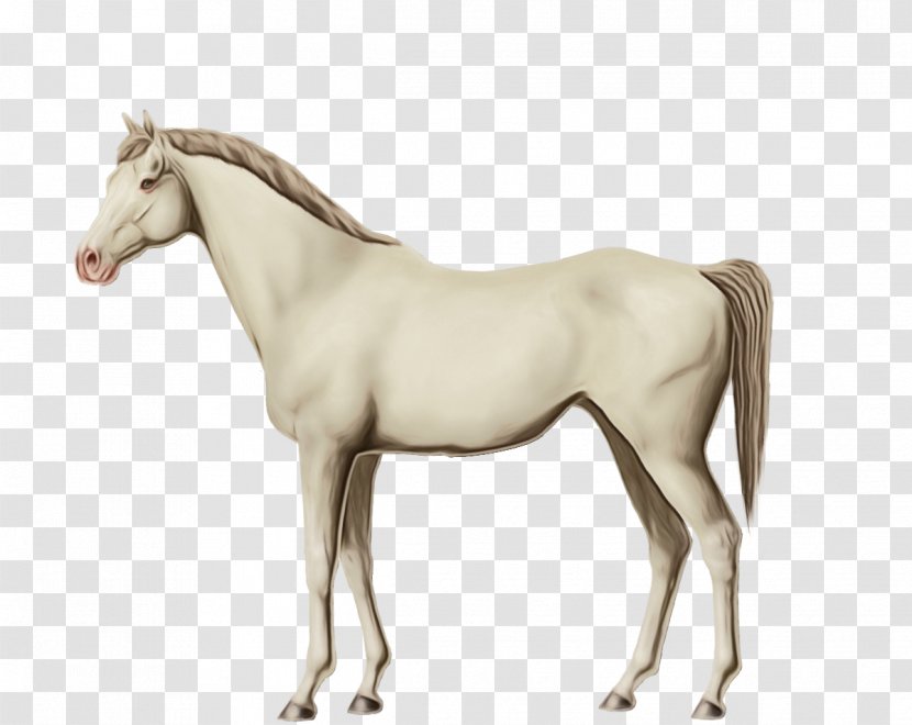 Horse Animal Figure Mare Sorrel Mane - Toy Mustang Transparent PNG