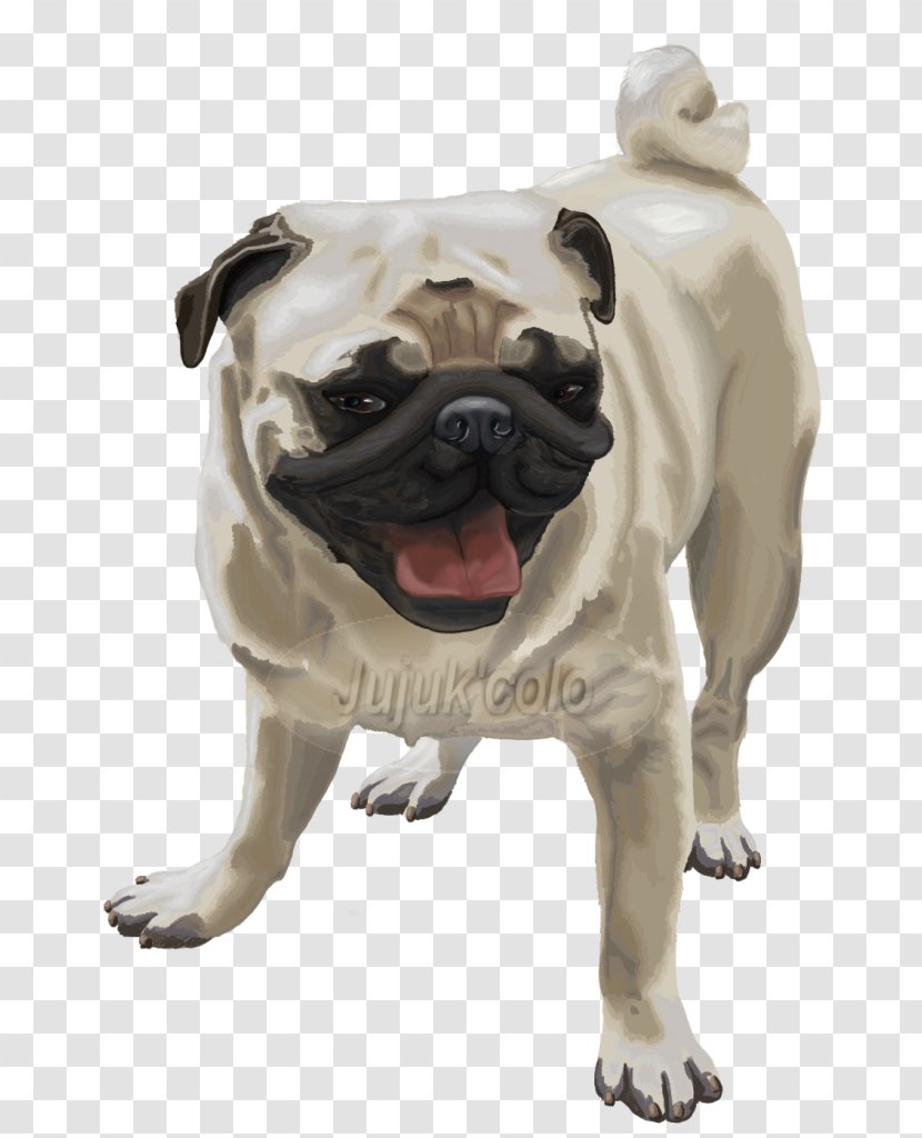 Pug Toy Bulldog Dog Breed Companion - Mammal - Signe Transparent PNG