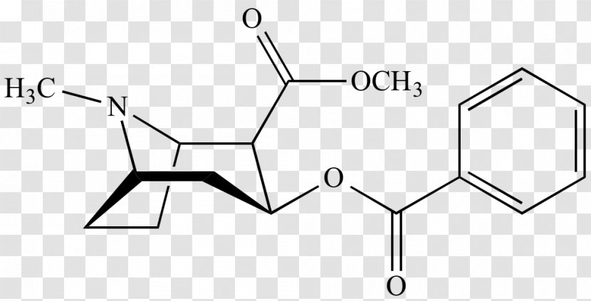 Cocaine Benzoylecgonine Alkaloid Erythroxylum Coca Amphetamine - Drawing - Organic Chemistry Transparent PNG