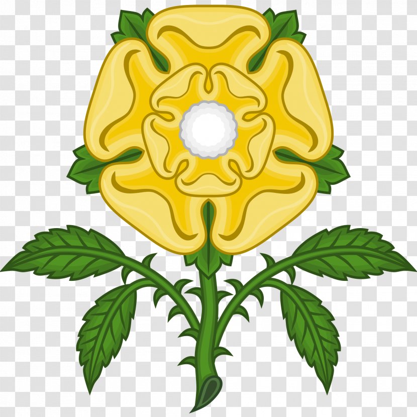 Kingdom Of England Tudor Period Rose House - Flowering Plant - GOLD ROSE Transparent PNG