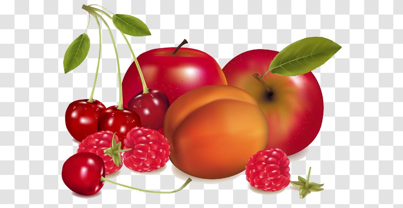 Pomme - Local Food - Painting Transparent PNG