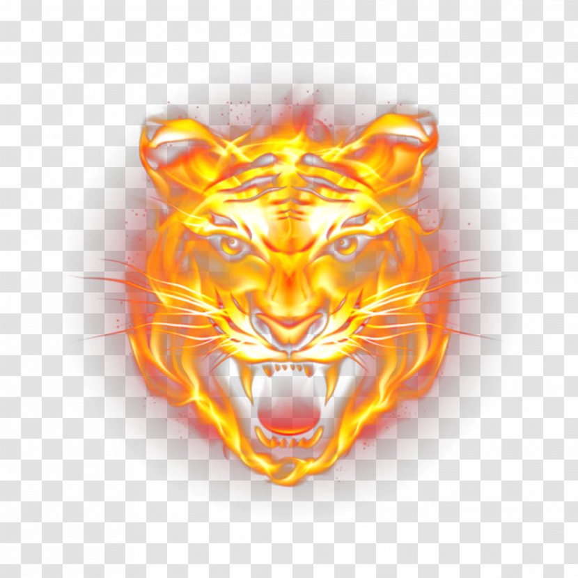 Tiger Clip Art Image Vector Graphics - Roar Transparent PNG