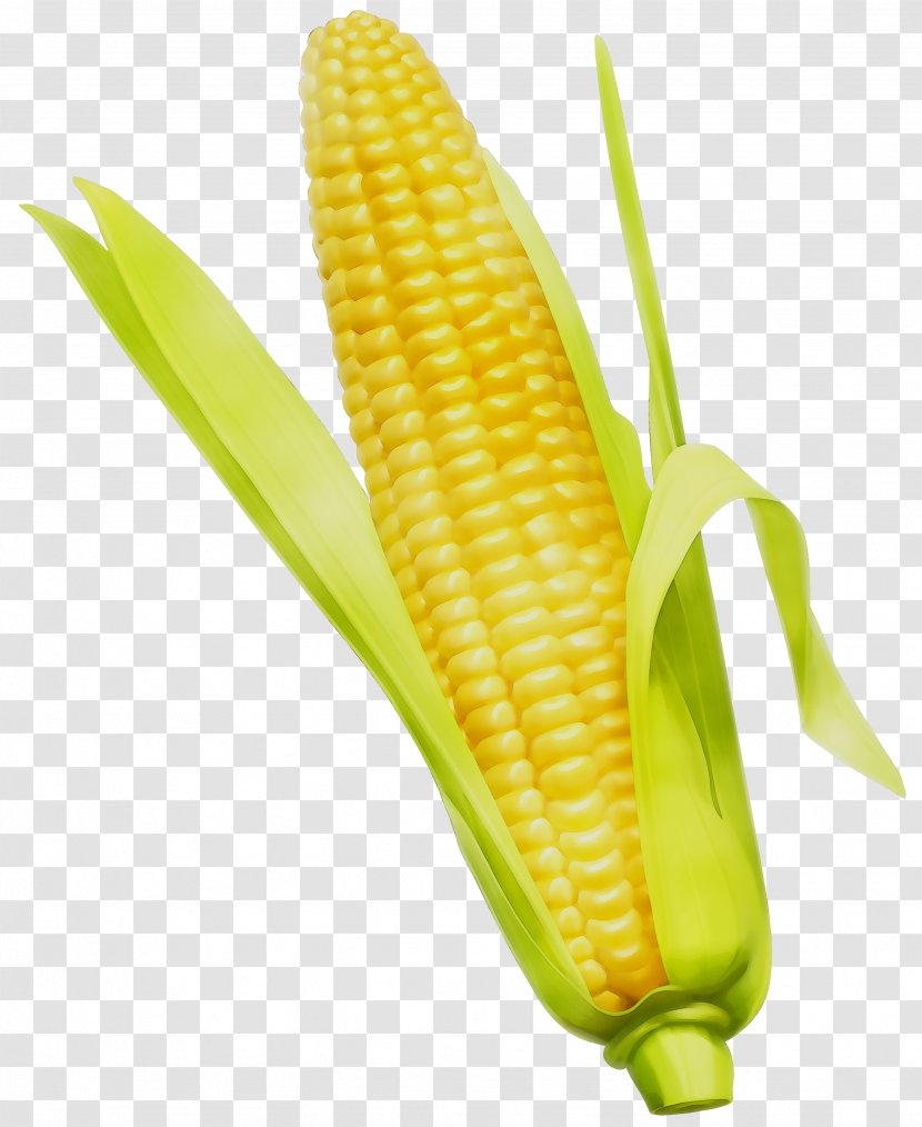 Corn On The Cob Whiskey Cornbread Vegetarian Cuisine Transparent PNG