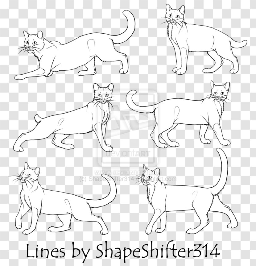 Horse Cat Dog Mammal Line Art - Drawing Transparent PNG