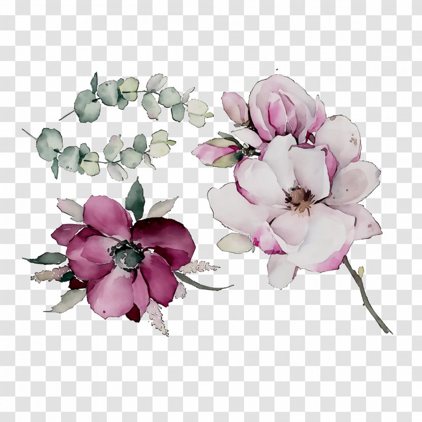 Cut Flowers Floral Design Rose Family - Plants - Pink M Transparent PNG