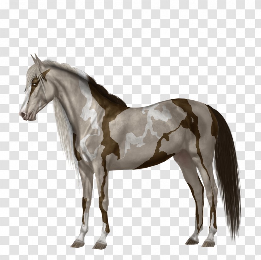 Mustang Mare Stallion Foal Rein - Sadio Man%c3%a9 - Horse Studio Transparent PNG